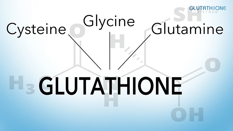 Glutathione Là Gì? Tác Dụng Của Glutathione Với Sức Khỏe