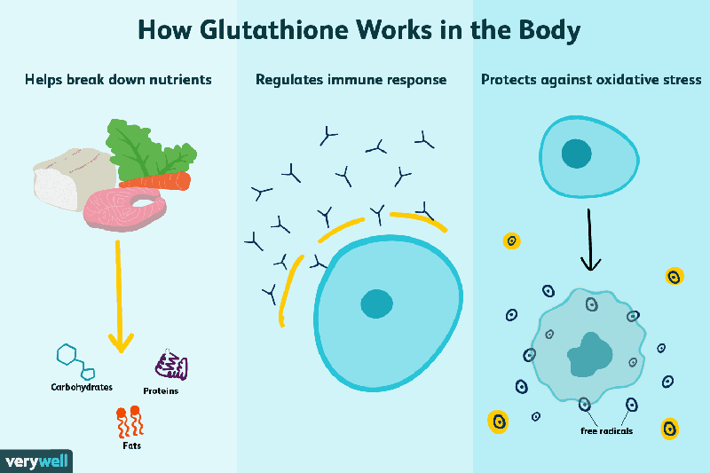 Vai trò của Glutathione trong cơ thể